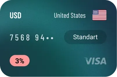Pay2.House Virtual Card — Standard