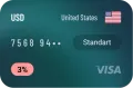 Pay2.House Virtual Card — Standard